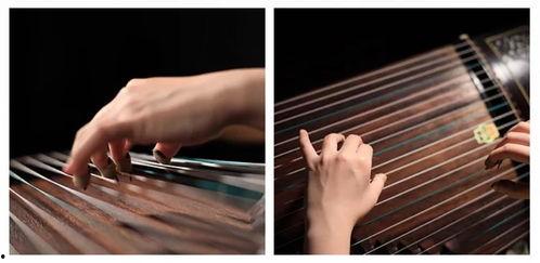古筝深度爆料视频  第1张